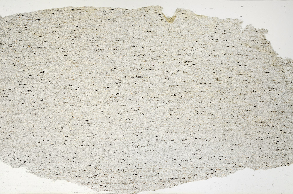 Plane Polarized, N12705