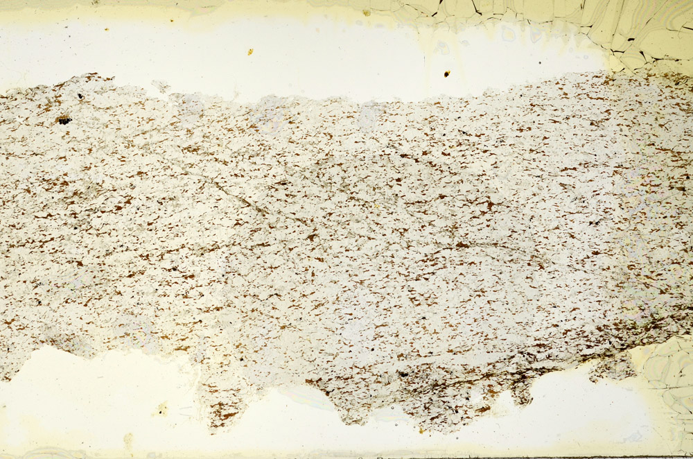 Plane Polarized, N12717