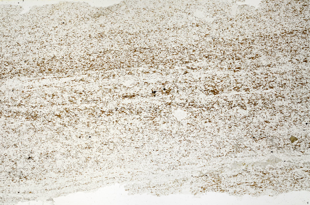 Plane Polarized, N12720