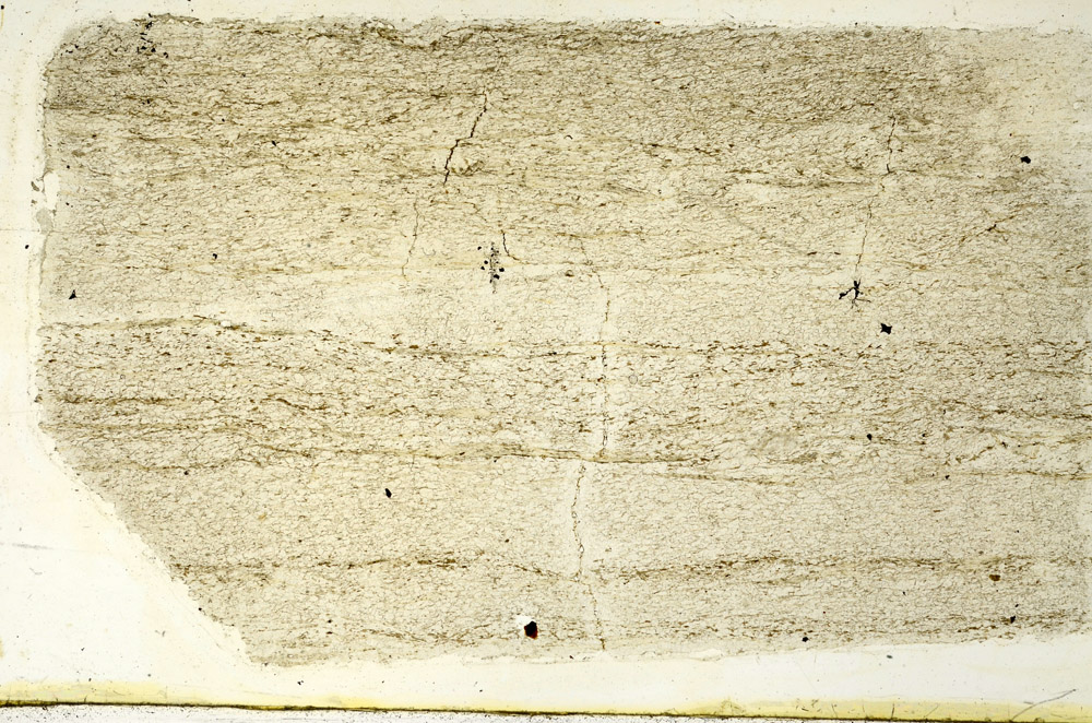 Plane Polarized, N12722