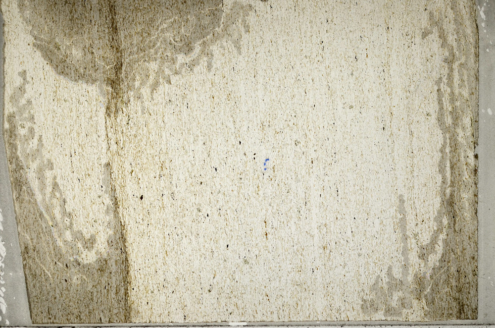 Plane Polarized, N12728