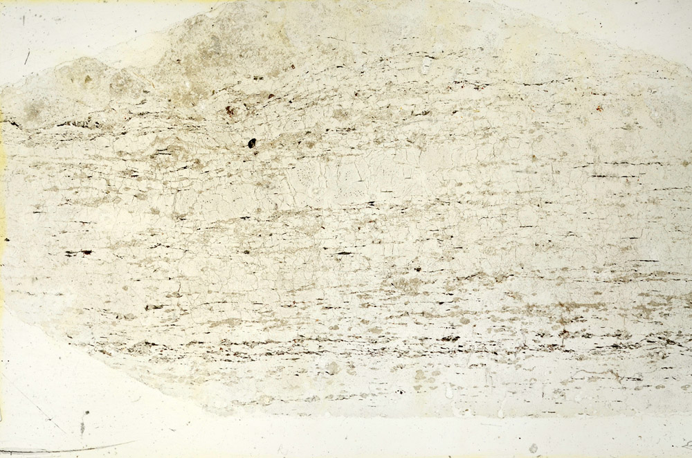 Plane Polarized, N12732