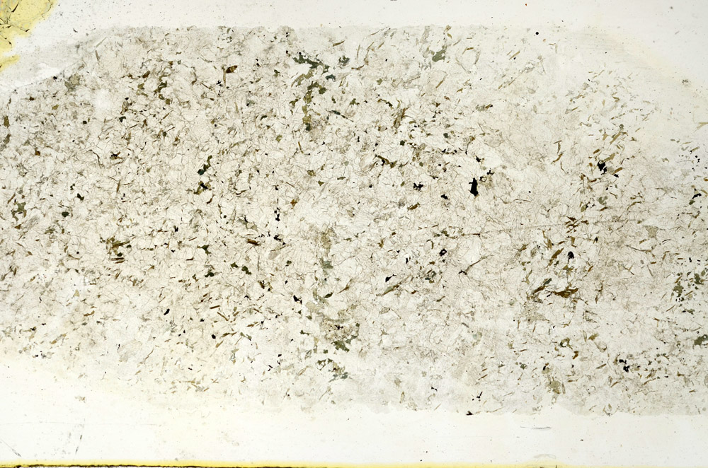 Plane Polarized, N12741