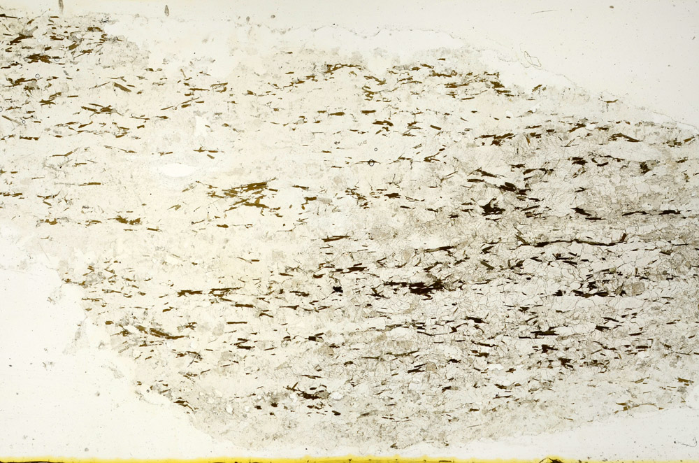 Plane Polarized, N12744