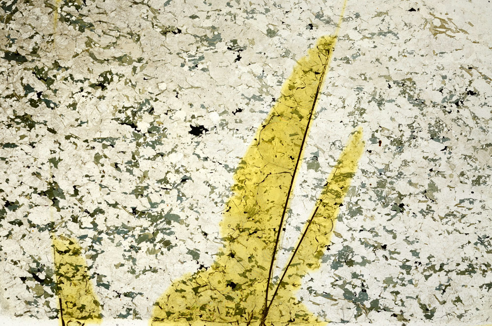 Plane Polarized, N12746