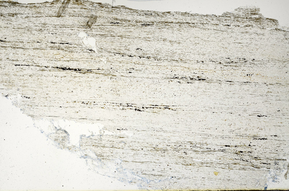 Plane Polarized, N12762
