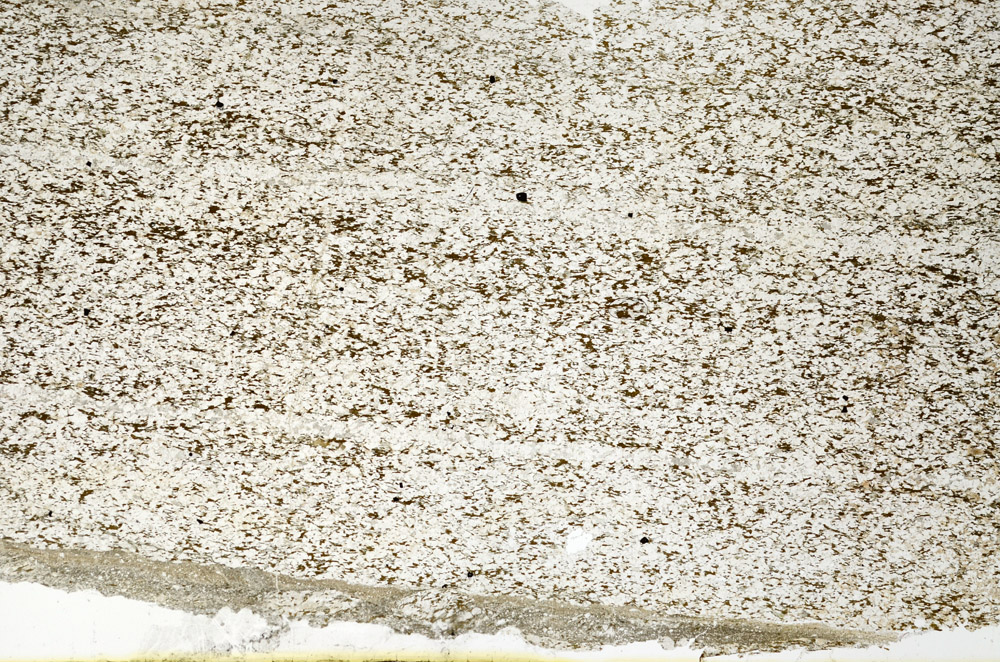 Plane Polarized, N12789