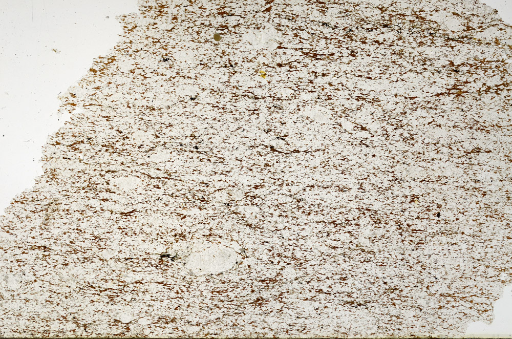 Plane Polarized, N12796