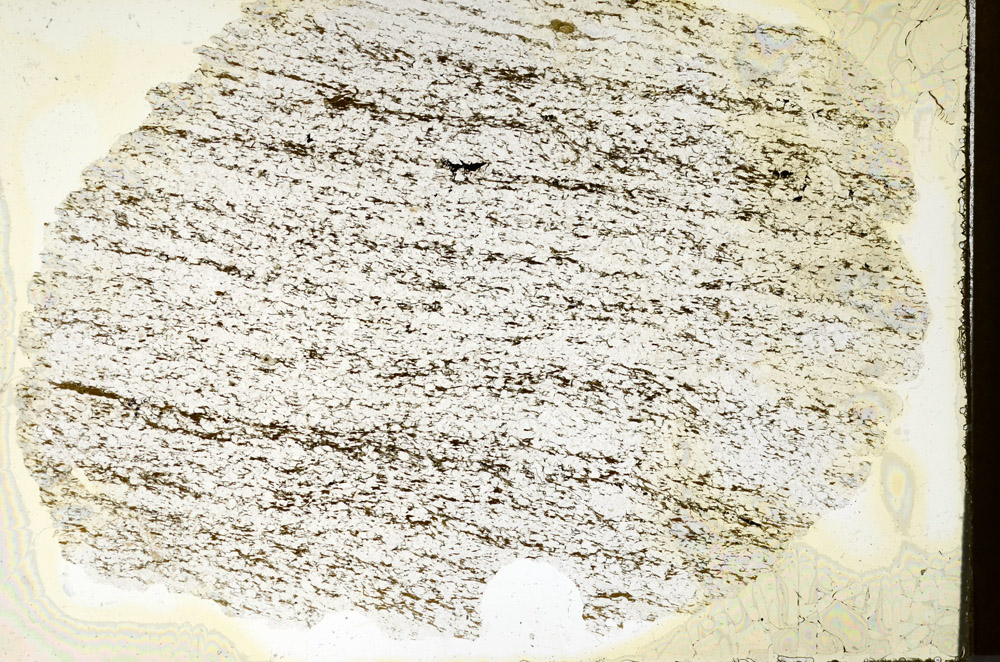 Plane Polarized, N12832/A