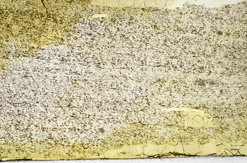 Plane Polarized, N12833