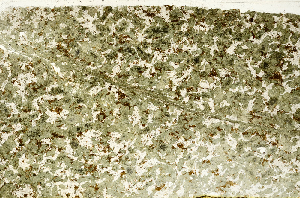 Plane Polarized, N12854