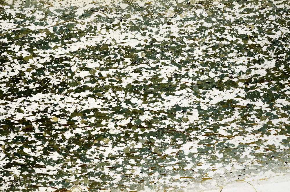 Plane Polarized, N12856