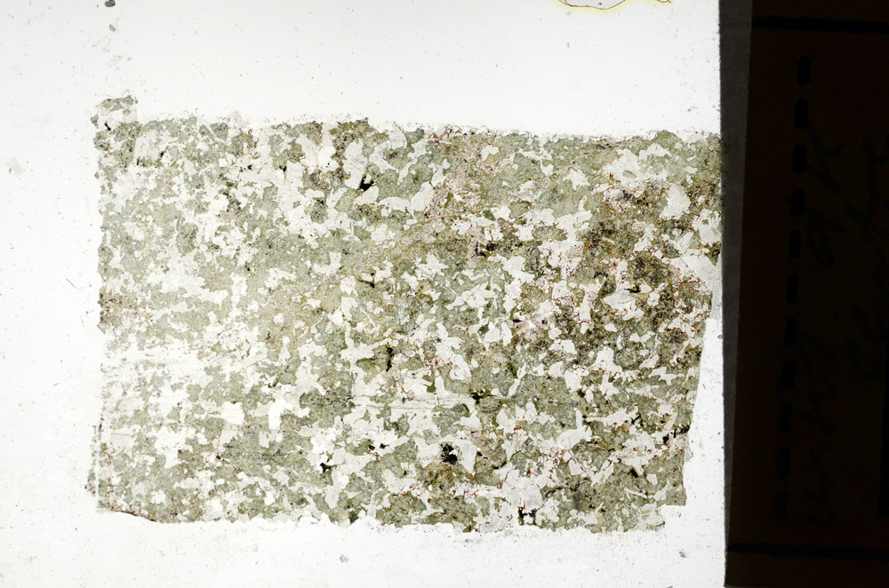 Plane Polarized, N12858