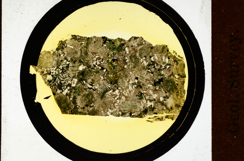 Plane Polarized, ED19