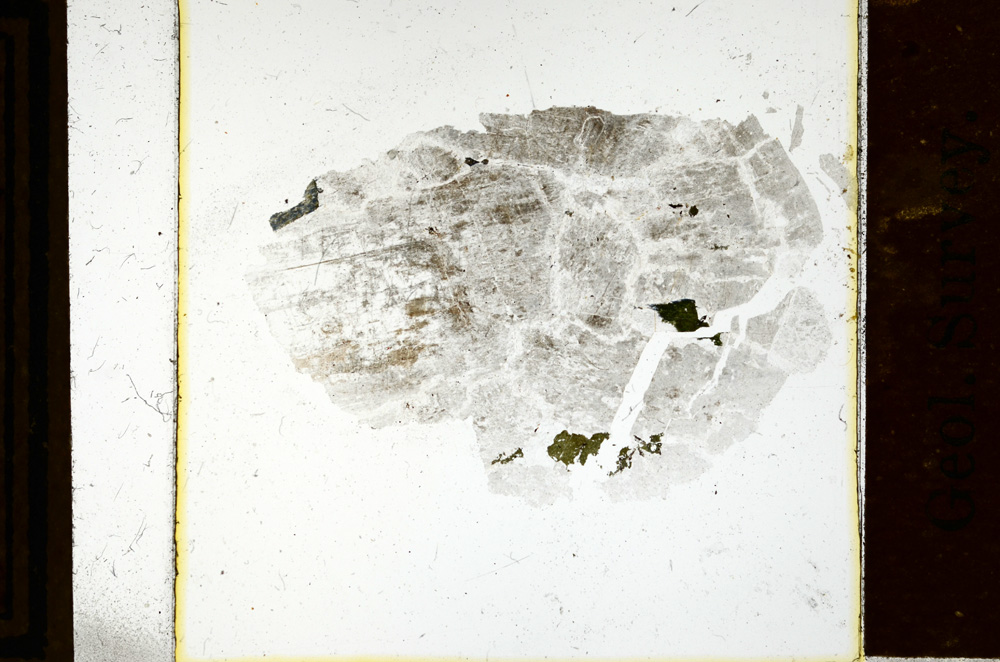 Plane Polarized, ED23