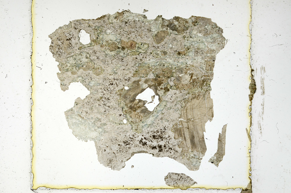 Plane Polarized, ED40