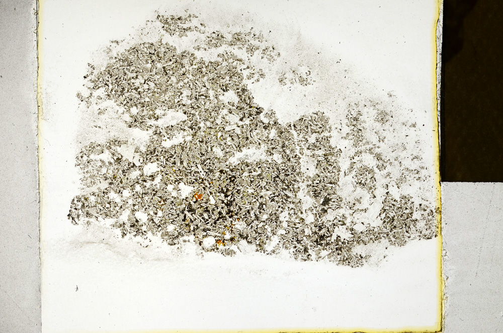 Plane Polarized, ED63