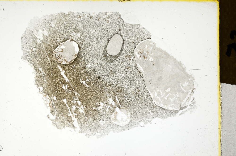 Plane Polarized, ED75