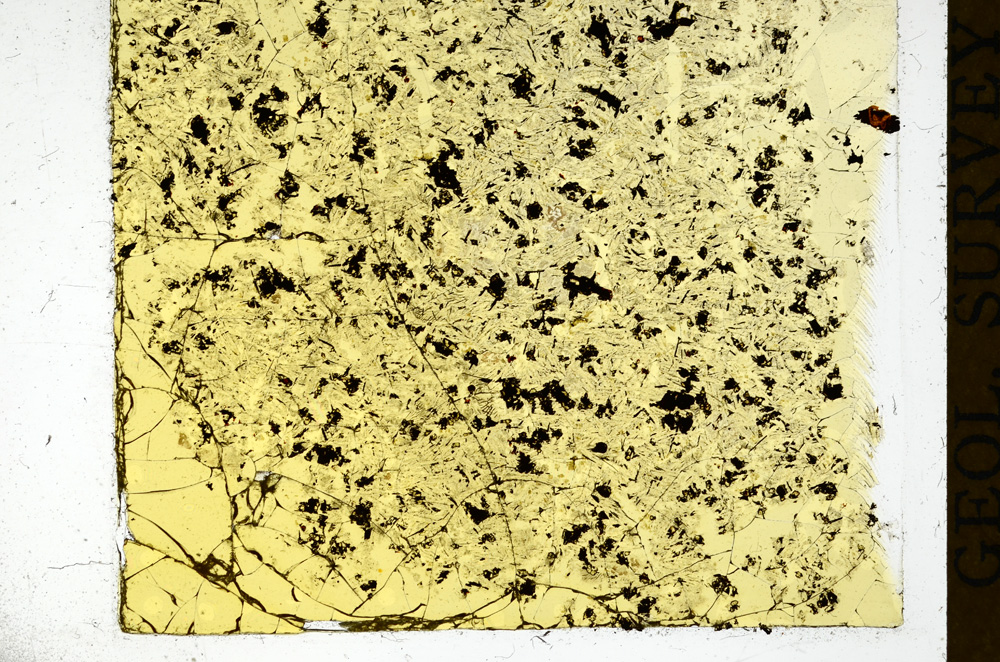 Plane Polarized, ED139