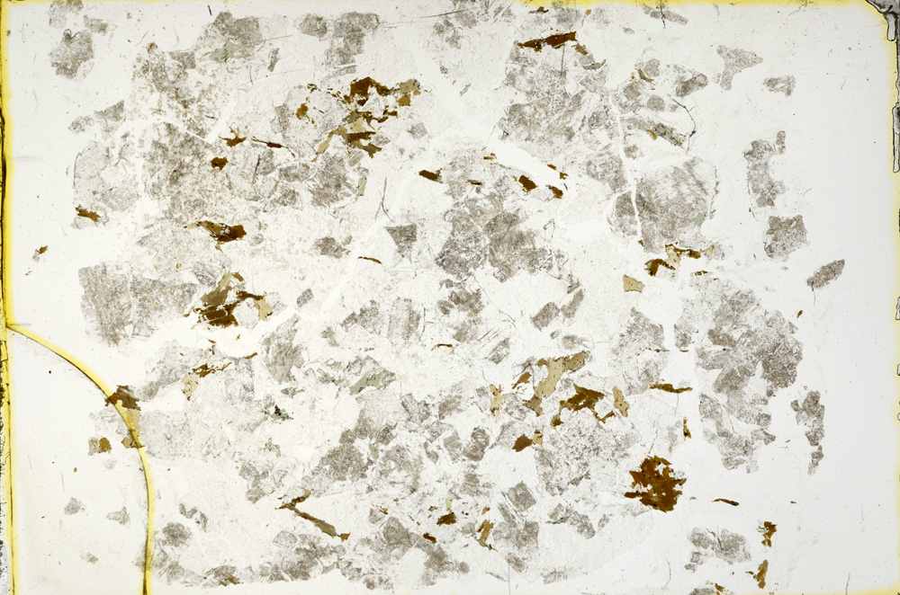 Plane Polarized, ED231