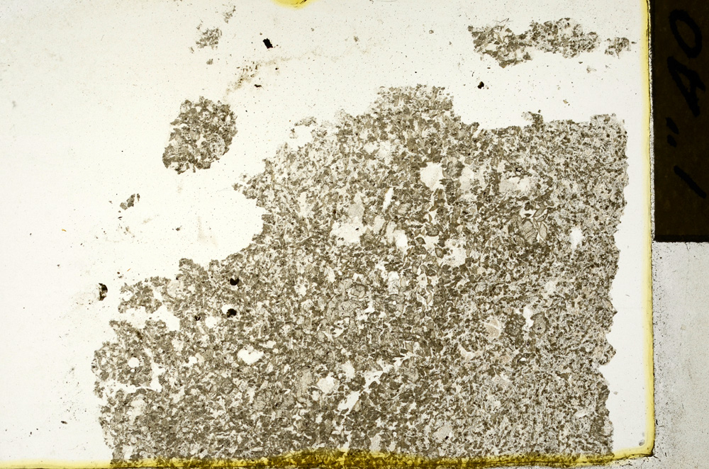 Plane Polarized, ED241