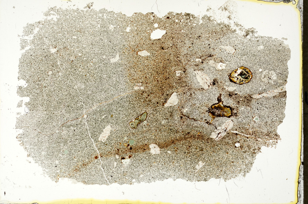 Plane Polarized, ED256