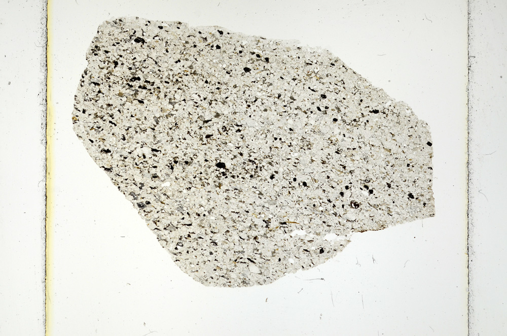 Plane Polarized, ED265