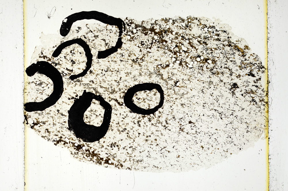 Plane Polarized, ED269