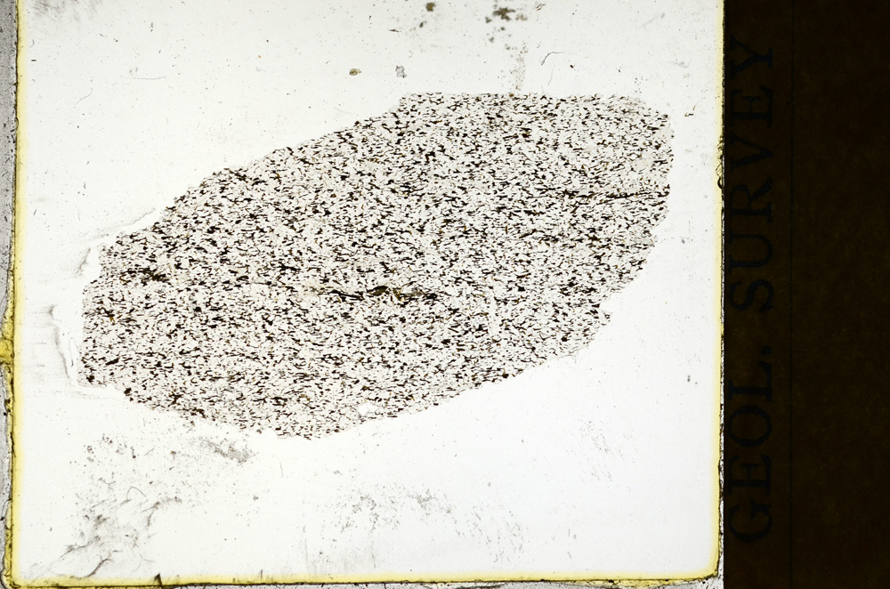 Plane Polarized, ED273