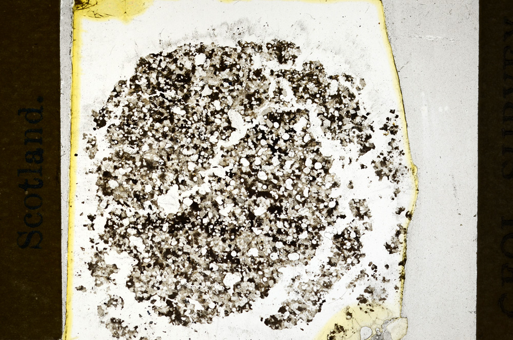 Plane Polarized, ED281