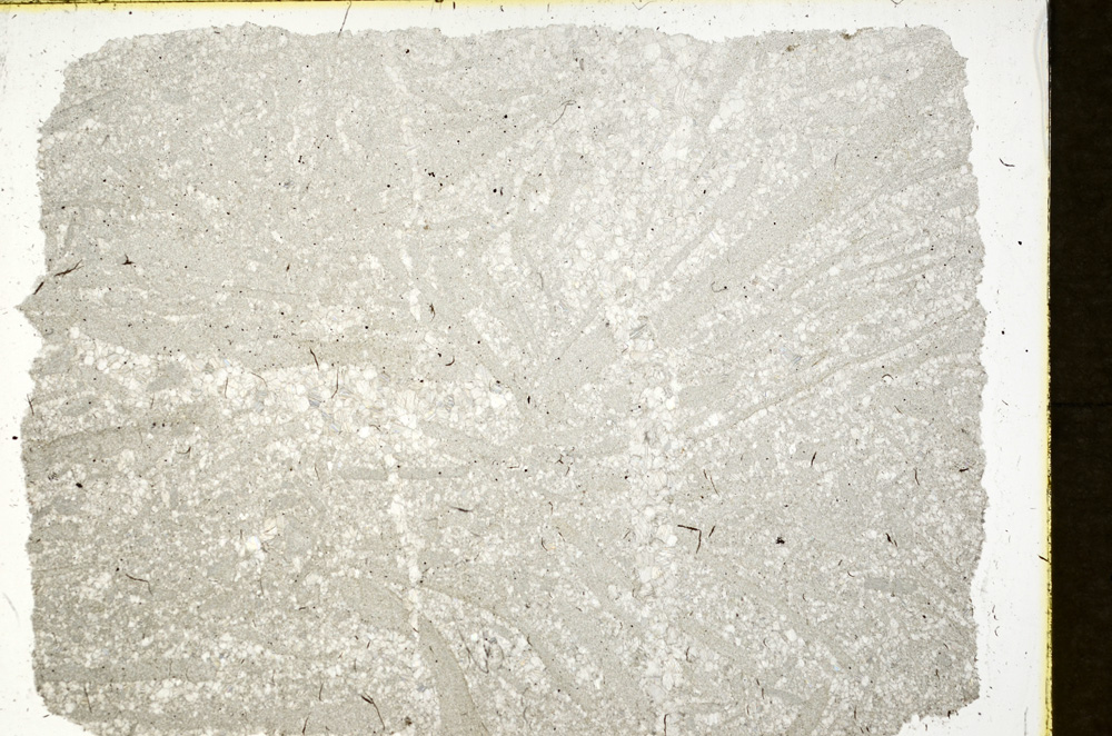 Plane Polarized, ED290