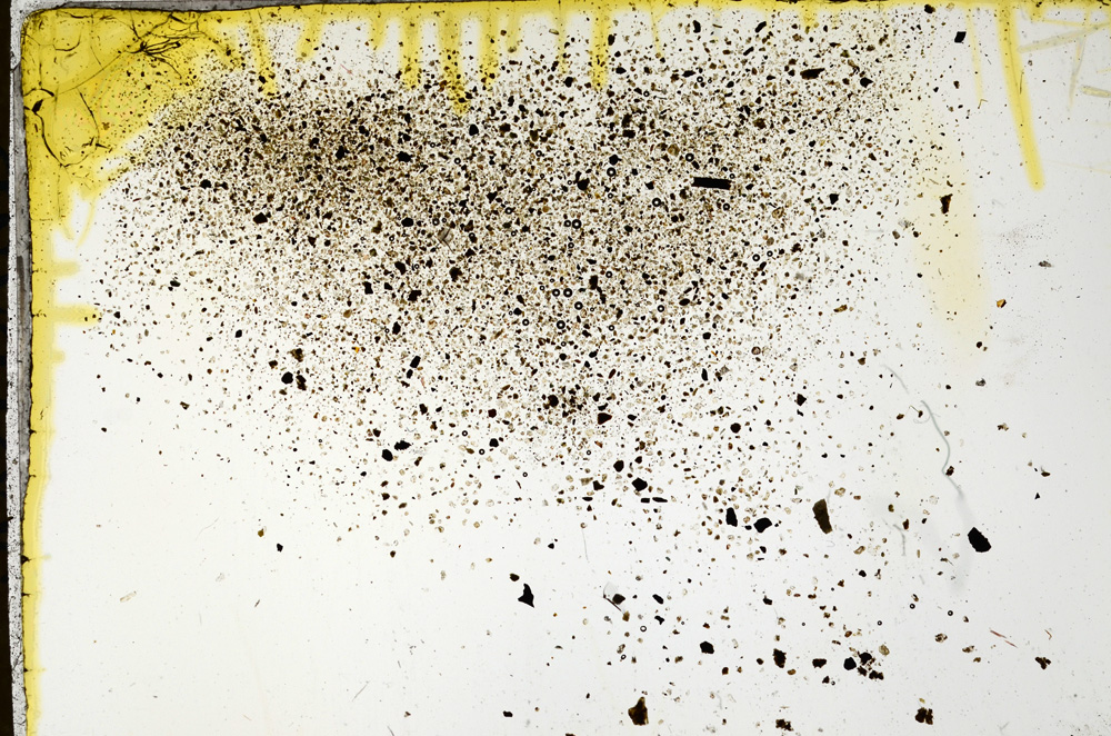 Plane Polarized, ED295