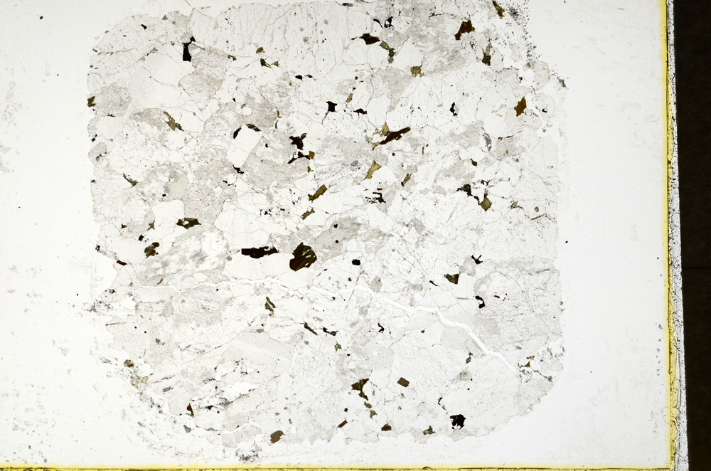 Plane Polarized, ED301