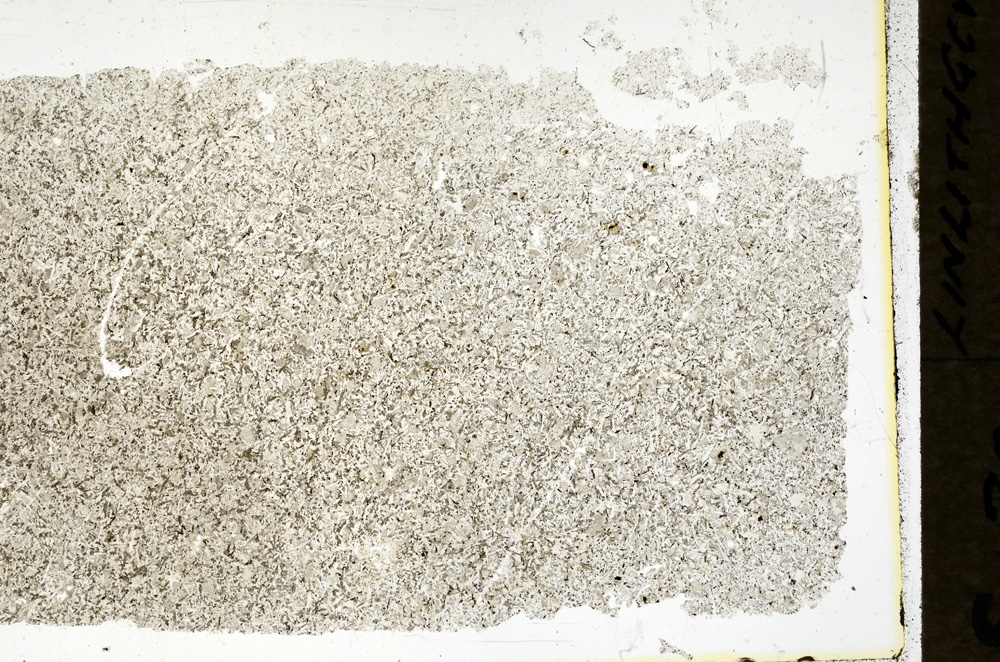 Plane Polarized, ED302