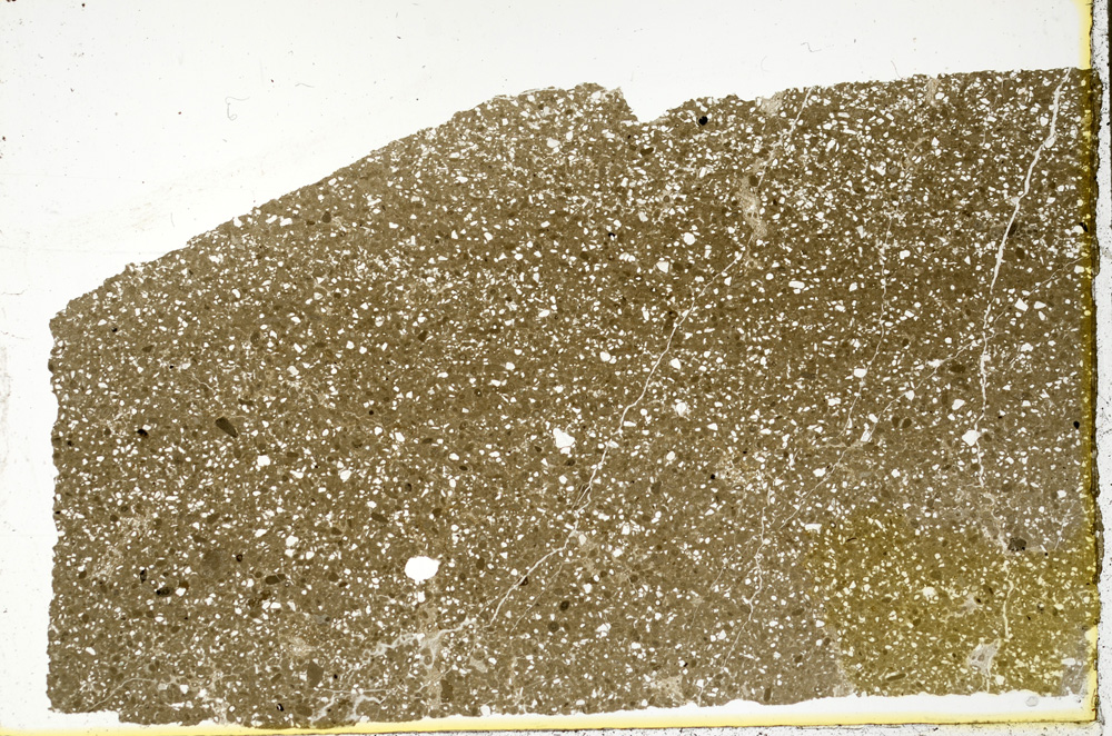 Plane Polarized, ED303