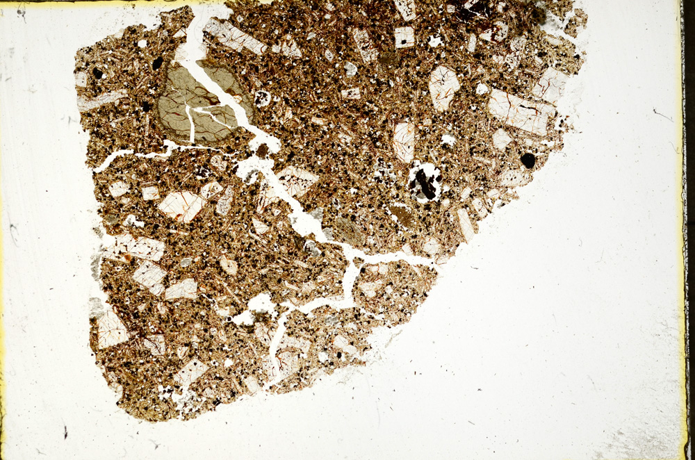 Plane Polarized, ED310