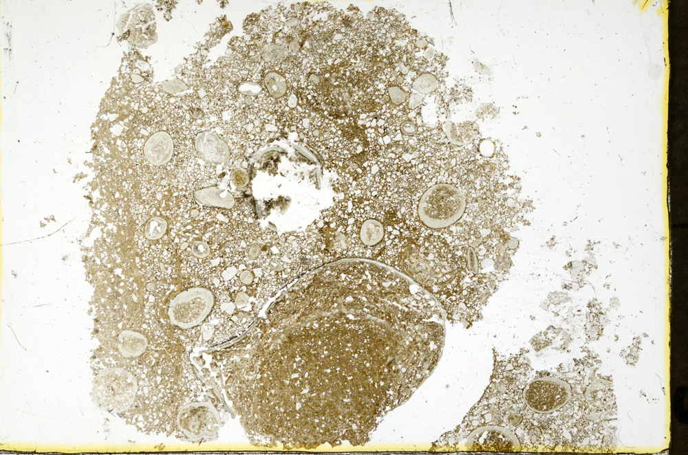 Plane Polarized, ED323