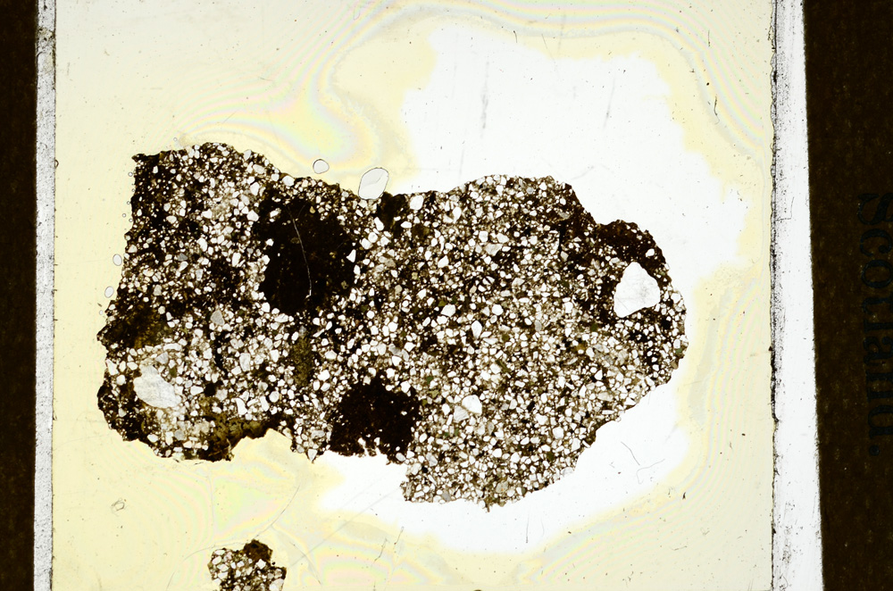 Plane Polarized, ED348