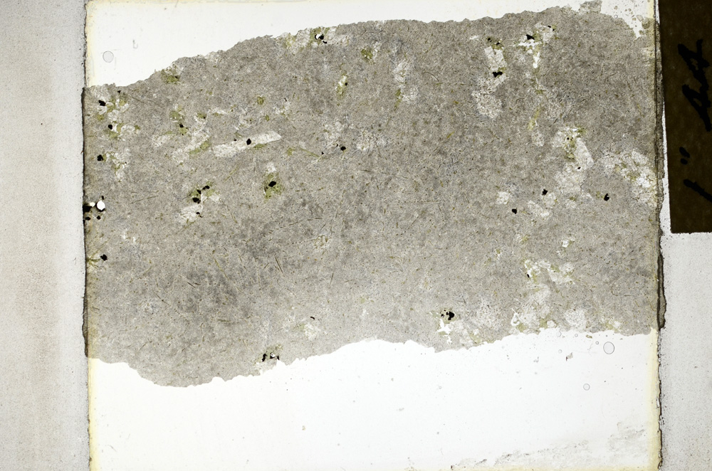 Plane Polarized, ED402