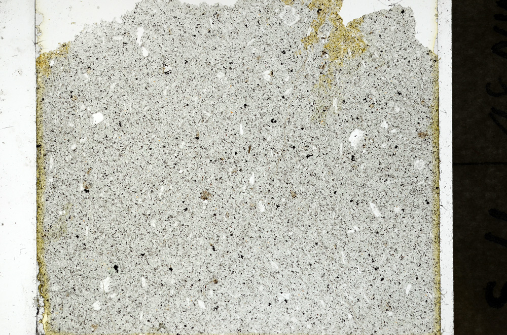 Plane Polarized, ED567