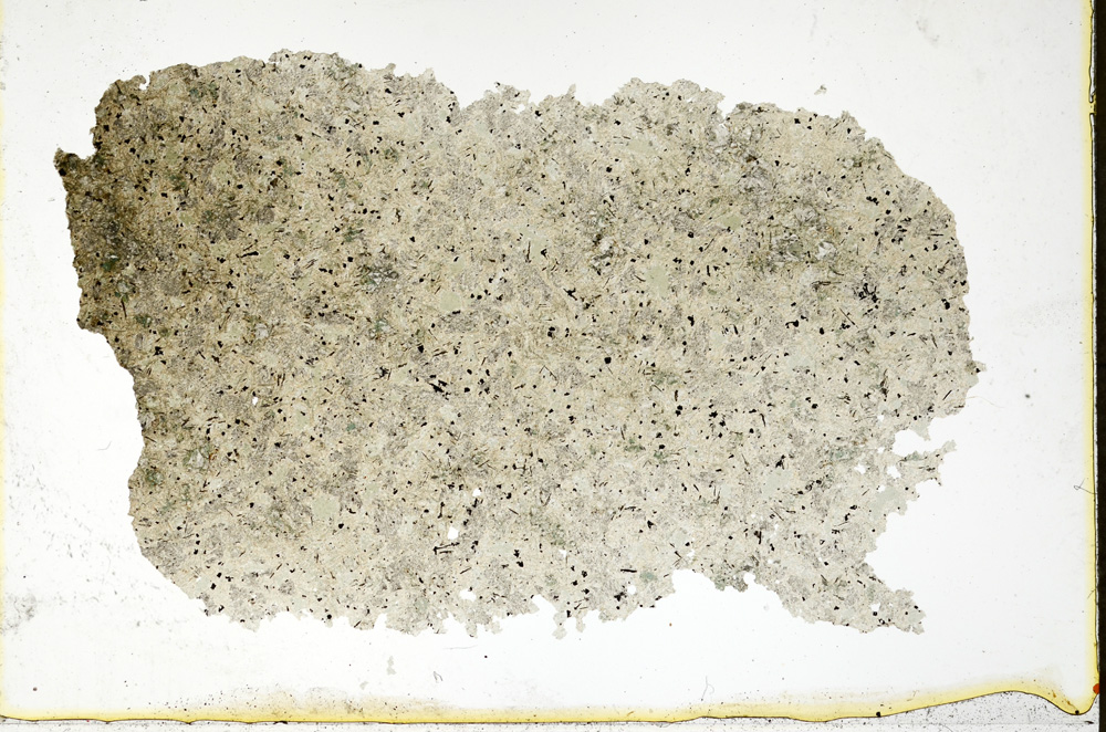 Plane Polarized, ED622