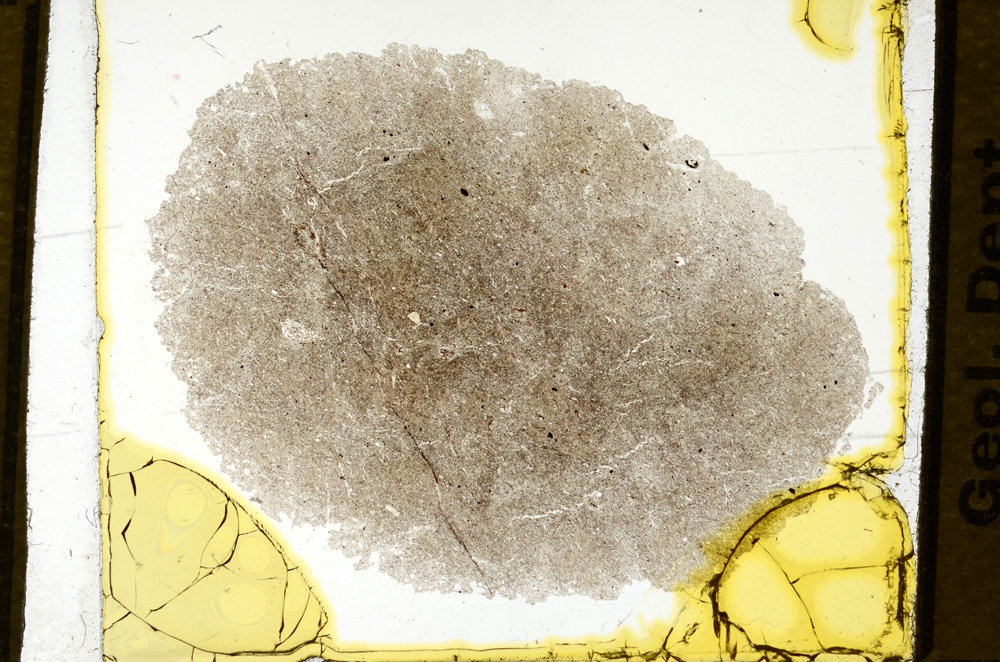 Plane Polarized, ED668