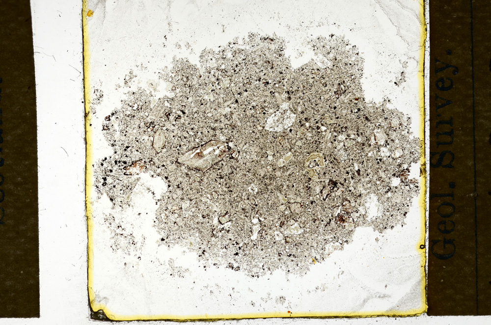 Plane Polarized, ED688