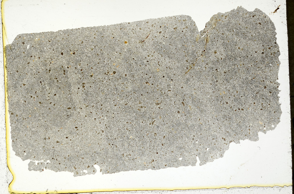 Plane Polarized, ED730