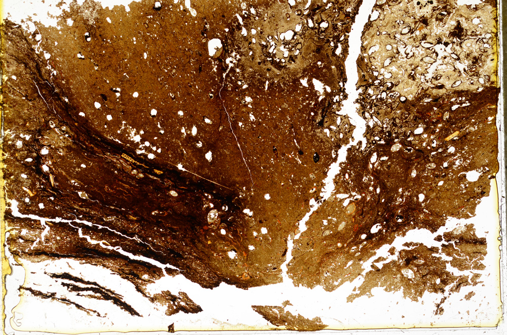 Plane Polarized, ED732