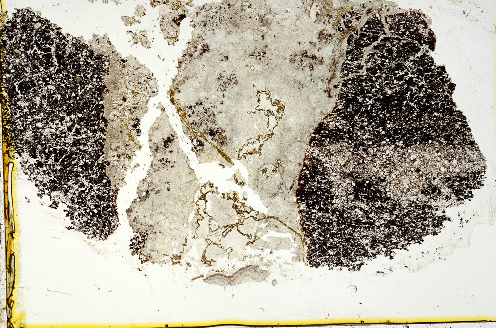 Plane Polarized, ED749