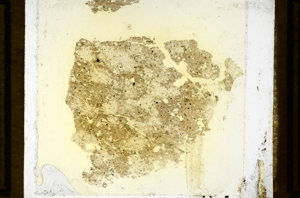 Plane Polarized, ED781