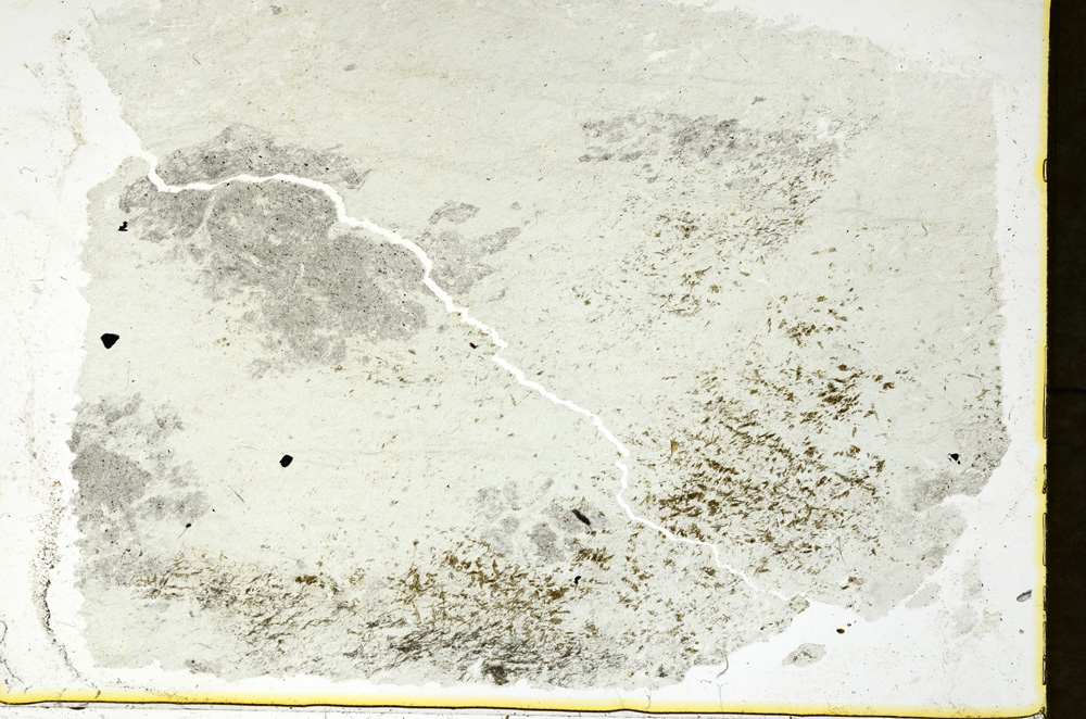 Plane Polarized, ED790