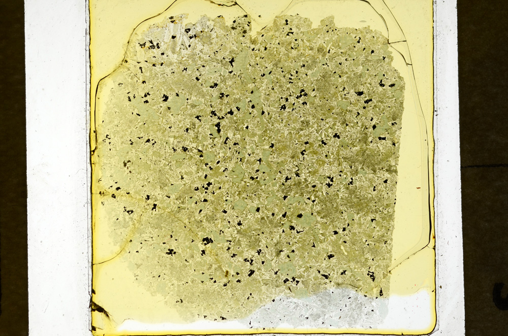 Plane Polarized, ED828