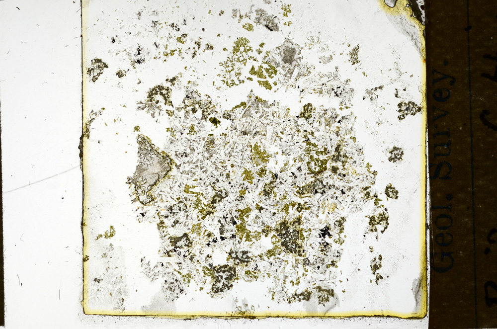 Plane Polarized, ED830